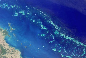 Is The Great Barrier Reef Dead? Debunking the myth.