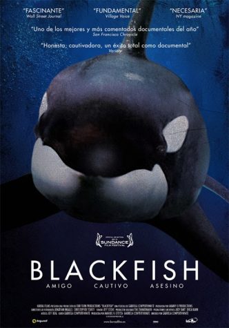 blackfish-poster