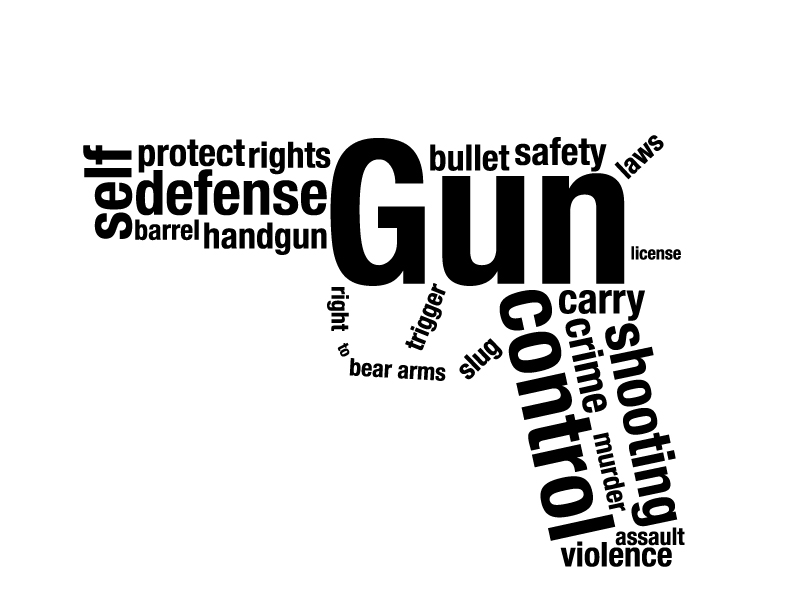 Gun+Control%3A+Insights+and+arguments+by+Journalism+students
