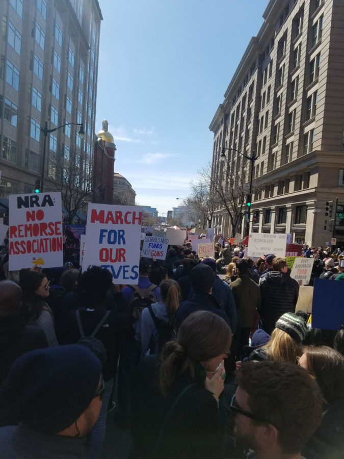 The March for Our Lives